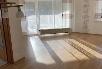 Wohn- und Essbereich