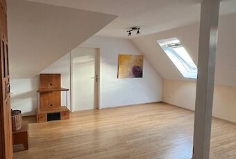 Zimmer DG
