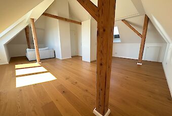 Zimmer DG