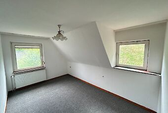Zimmer DG